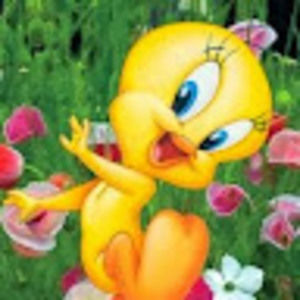 Meet your Posher, Millie